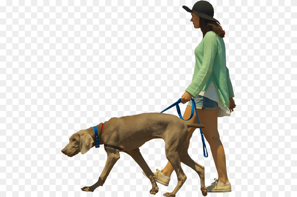 Dog Walking Architectural Rendering Dog Download 571 Architecture People Walking, Accessories, Strap, Pet, Person Free Png