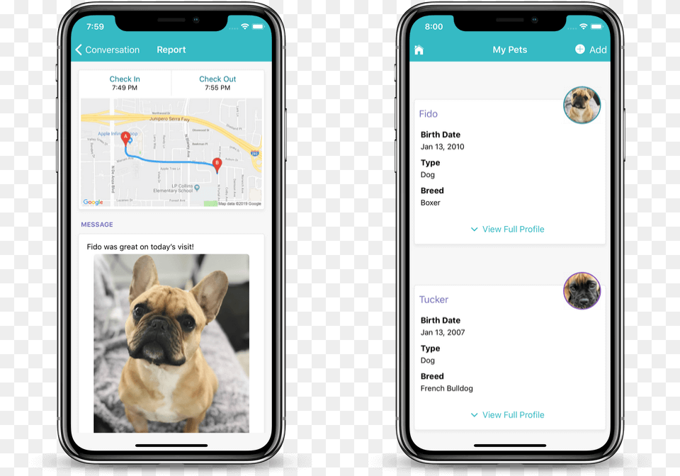 Dog Walking Client App Dog App, Electronics, Mobile Phone, Phone, Animal Free Png