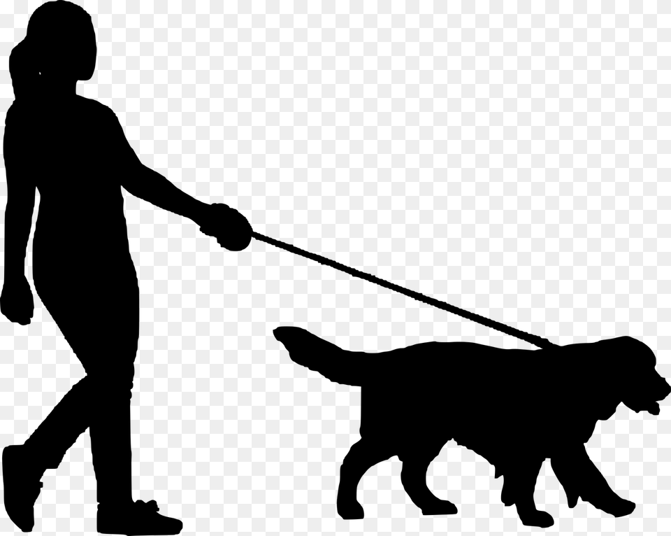 Dog Walking Dog Women People Silhouette Walking Dog Silhouette, Gray Free Transparent Png