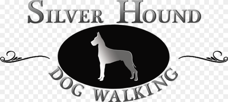 Dog Walking I Cat Sitting In Maplewood Amp South Orange Silver Hound Dog Walking Amp Cat Sitting, People, Person, Logo, Accessories Free Png