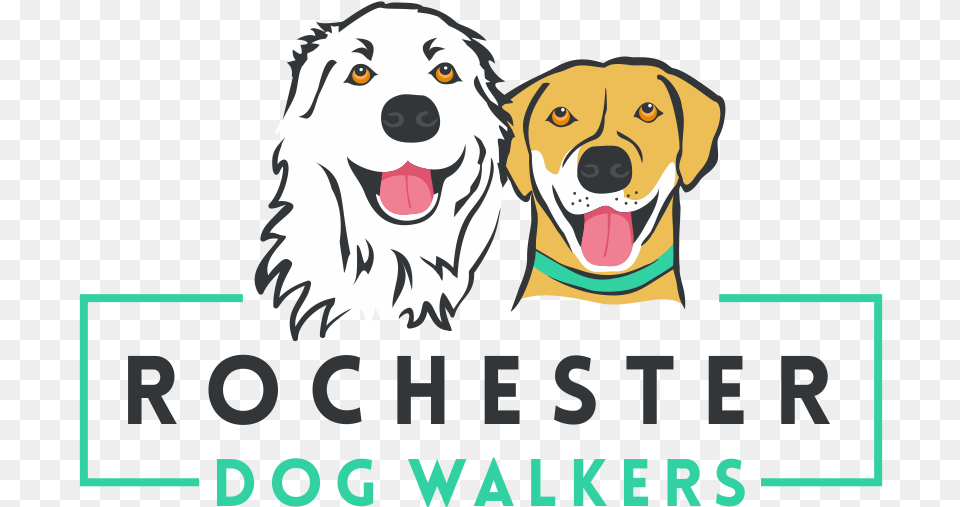Dog Walking Logo Transparent Download Rochester Dog Walkers, Animal, Canine, Hound, Mammal Png