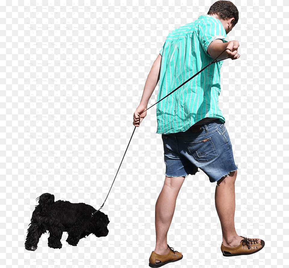 Dog Walking Man Free People Transparent Background Walking A Dog, Shorts, Clothing, Male, Teen Png Image