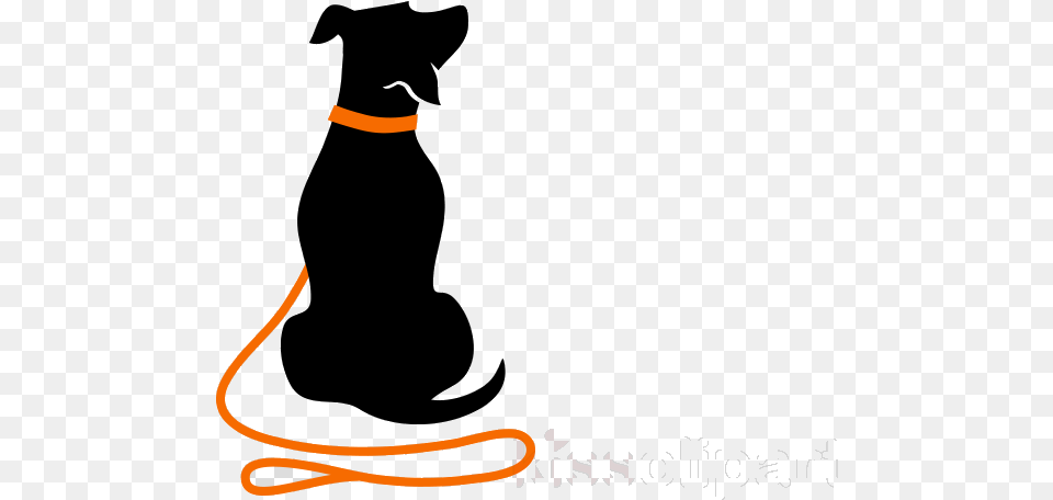 Dog Walking Pet Design Transparent Clipart Dog Walking Clipart, Animal, Cat, Mammal, Person Png Image
