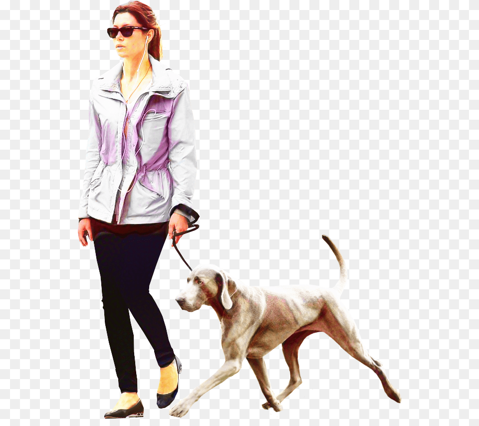 Dog Walking Portable Network Graphics Labrador Retriever Person Walking Dog, Male, Adult, Jacket, Clothing Png Image