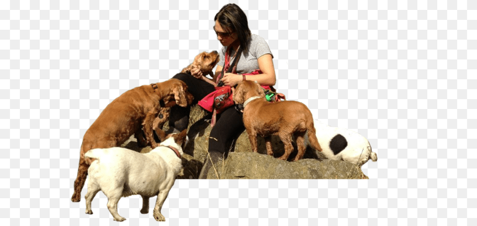 Dog Walking With Jane Companion Dog, Adult, Person, Woman, Female Free Png Download