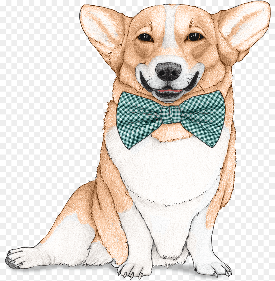 Dog Wallpaper For Walls, Accessories, Formal Wear, Tie, Animal Png Image