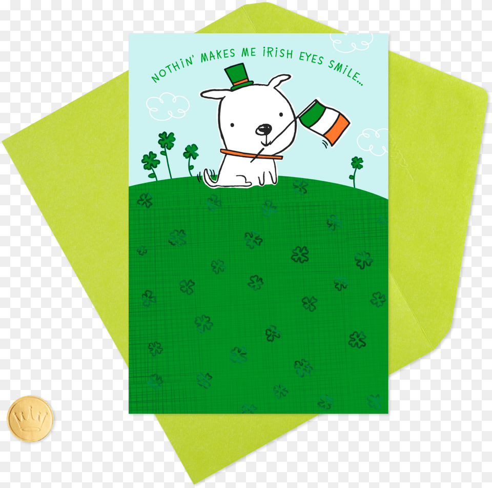 Dog With Irish Flag St Paper, Animal, Bear, Mammal, Wildlife Free Png Download