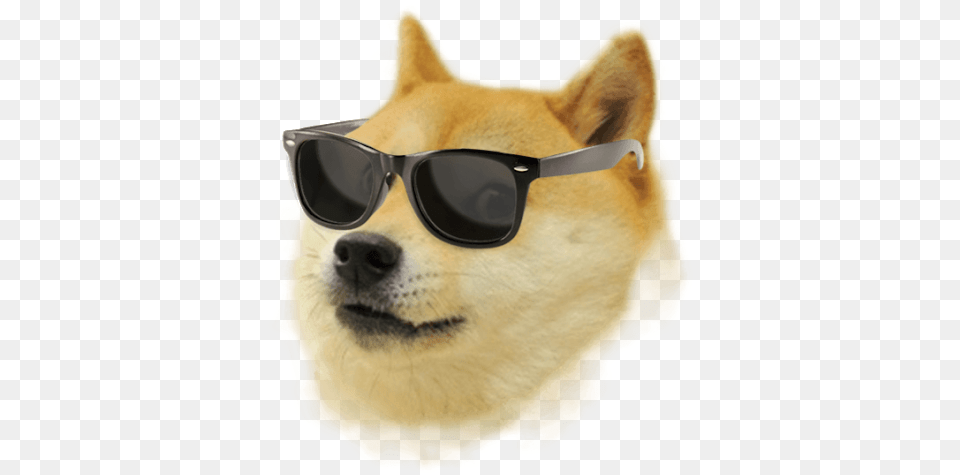 Dog With Sunglasses, Accessories, Glasses, Animal, Canine Png Image