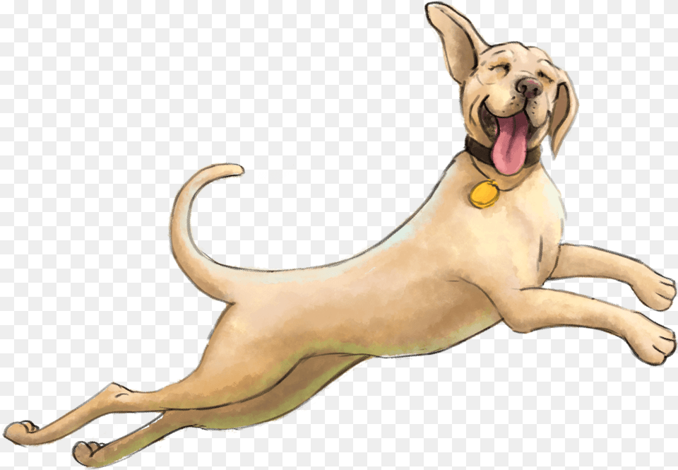 Dog Yawns, Animal, Canine, Mammal, Pet Free Png