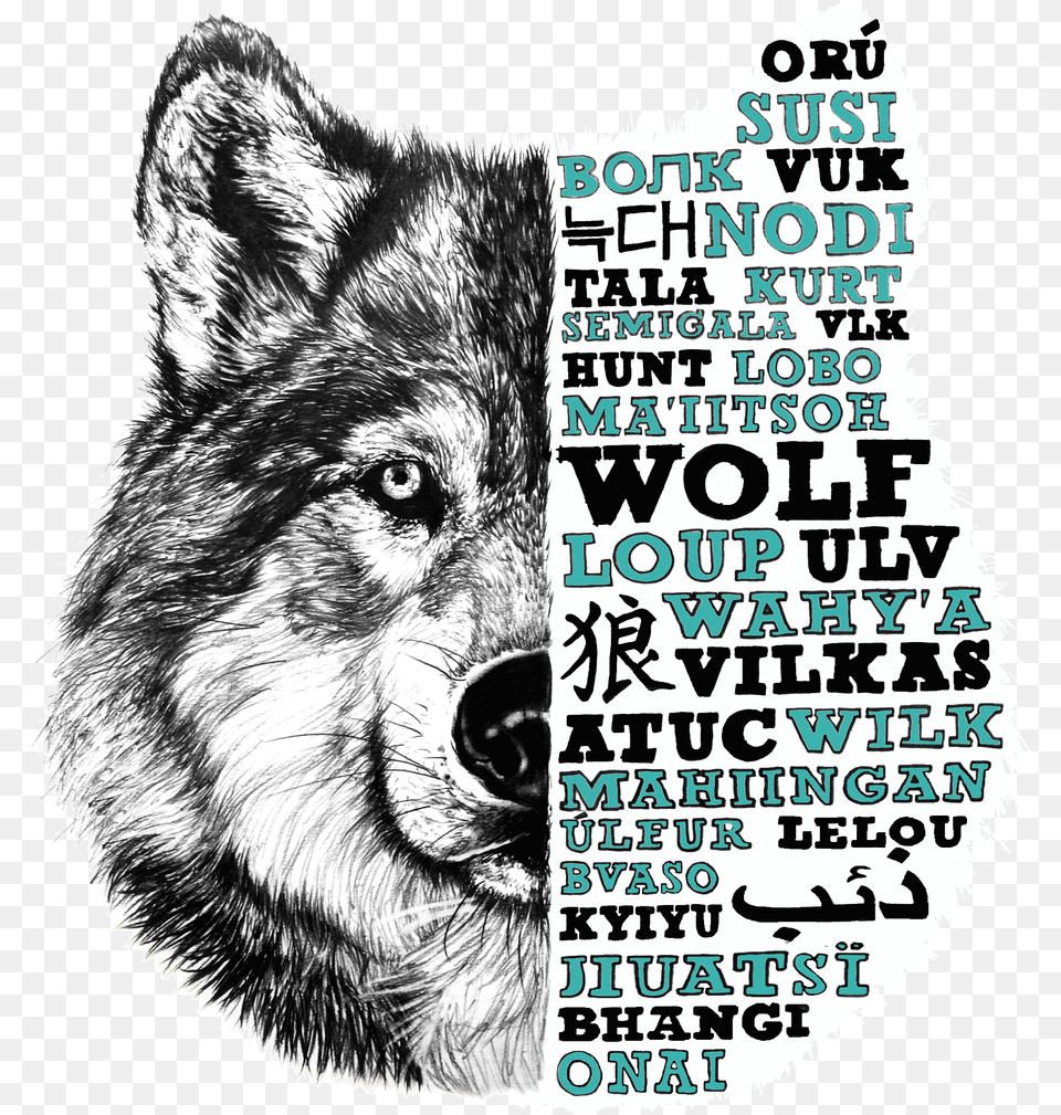 Dog Yawns, Animal, Mammal, Wolf, Advertisement Png Image