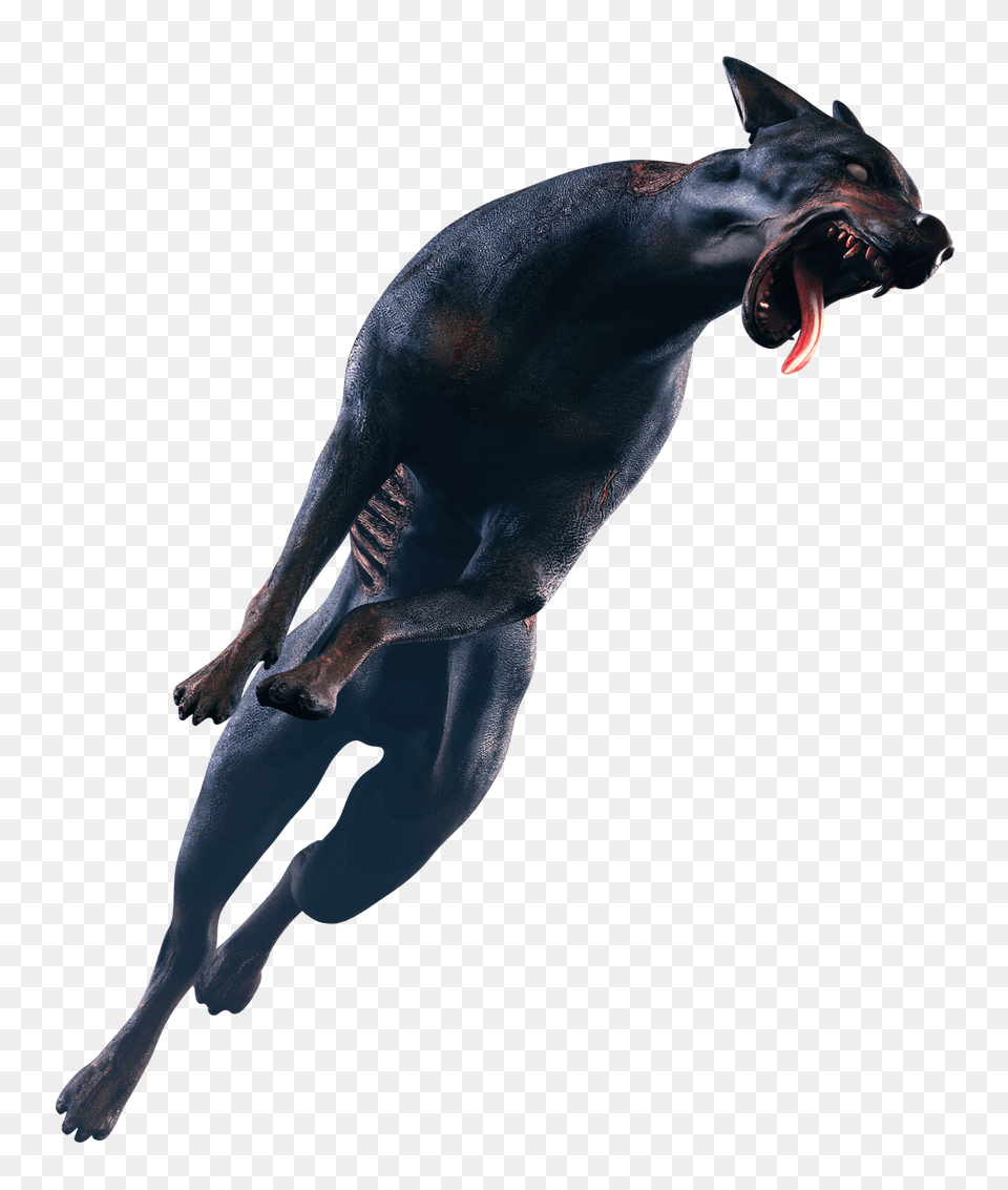 Dog Zombie Images, Animal, Mammal, Panther, Wildlife Free Png