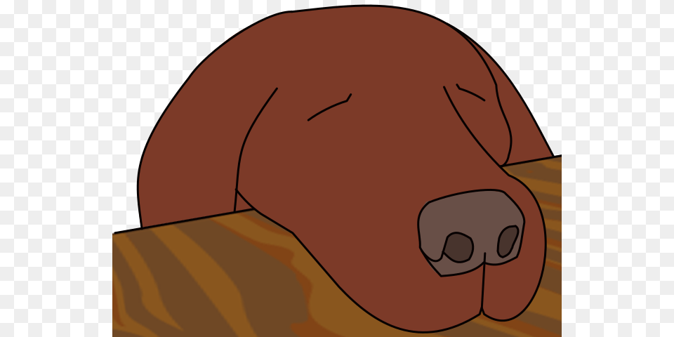 Dogasleep One Fourth, Snout, Person, Sleeping, Baby Free Transparent Png