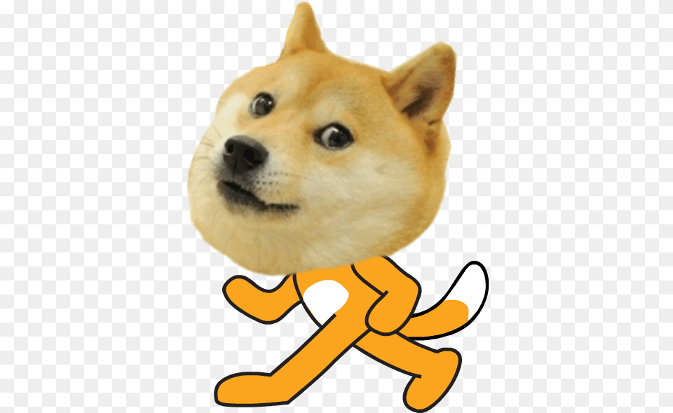 Doge, Animal, Canine, Dog, Husky Free Png