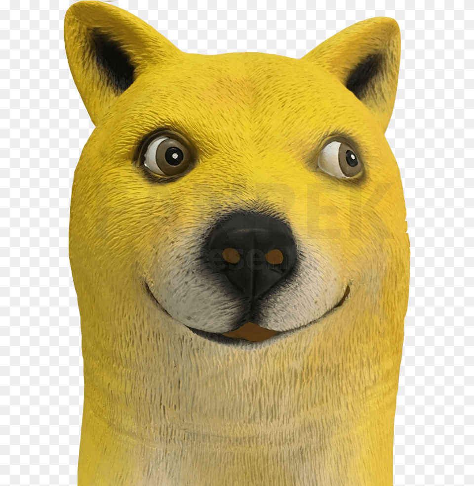 Doge, Snout, Animal, Bird, Pet Free Png Download