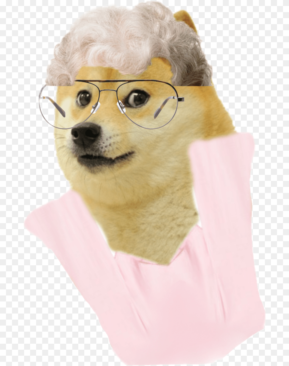 Doge, Accessories, Glasses, Adult, Person Png Image