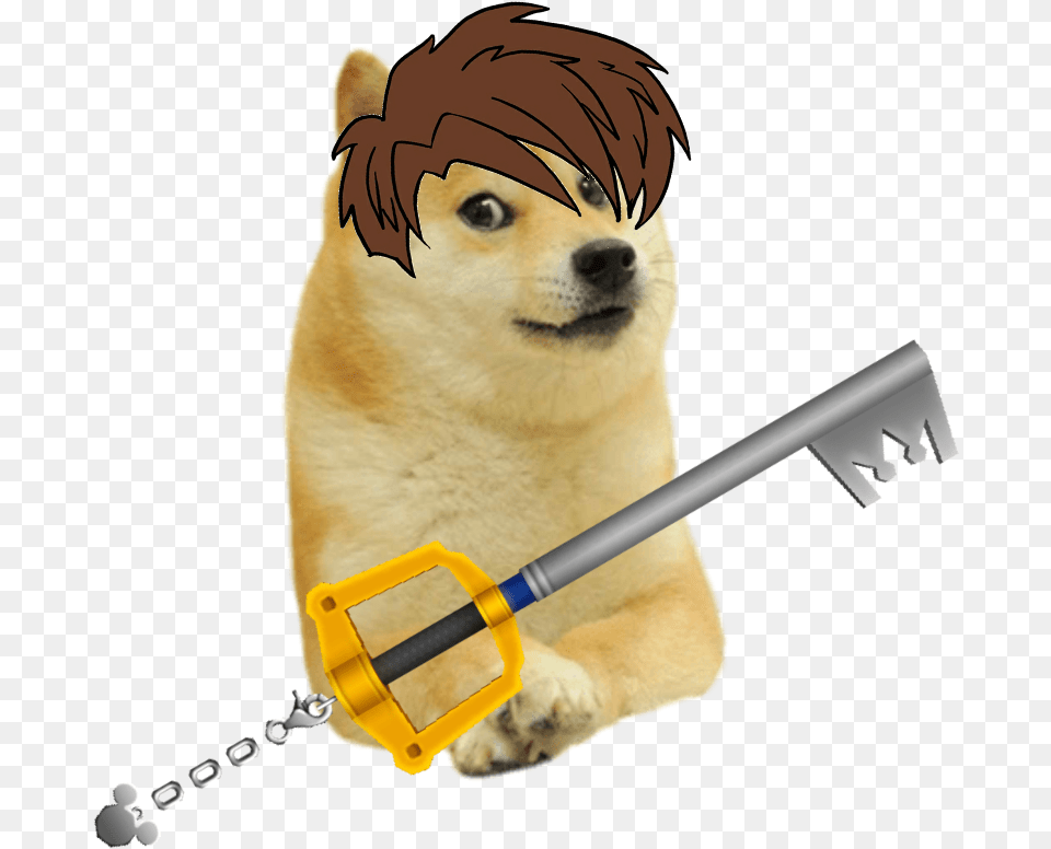 Doge, Accessories Free Transparent Png