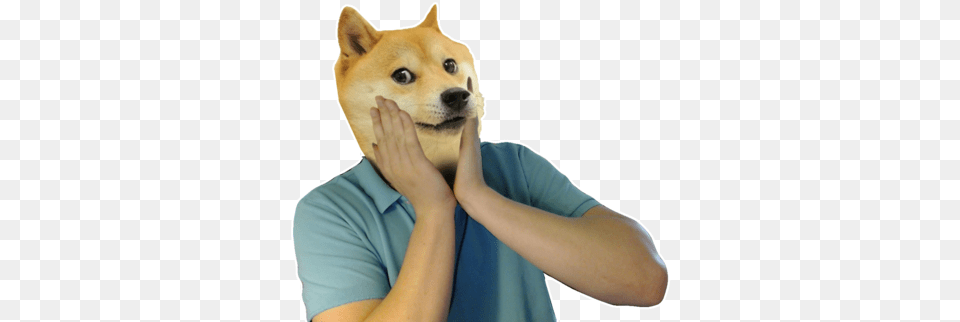 Doge 8 Image Doge, Animal, Pet, Mammal, Husky Free Png