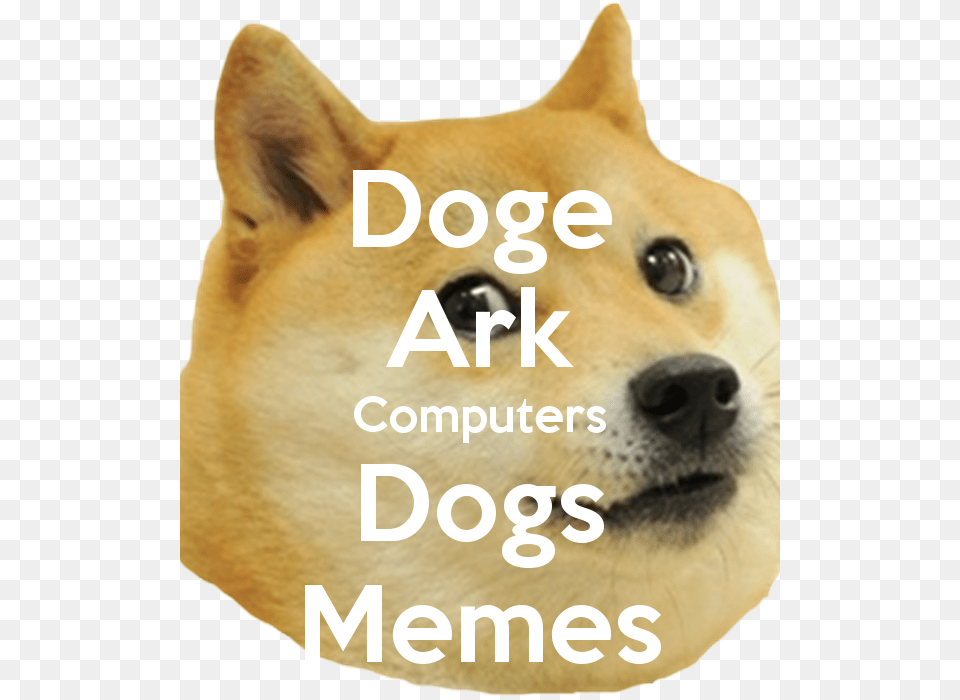 Doge Ark Computers Dogs Memes Foxhound, Snout, Animal, Canine, Dog Png