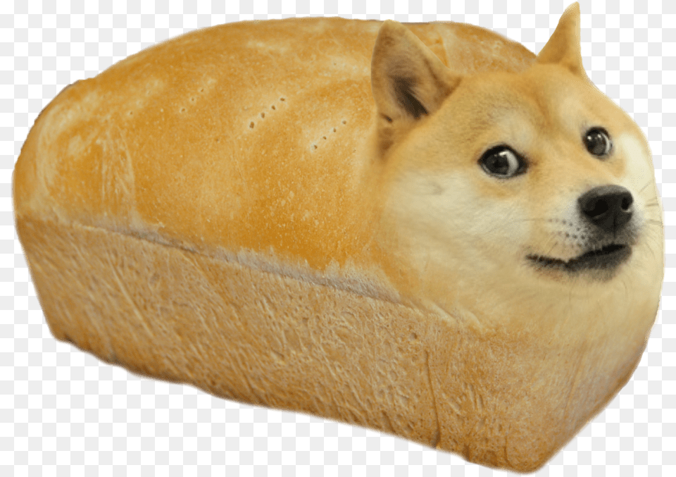 Doge Bread, Bread Loaf, Food, Animal, Canine Png Image