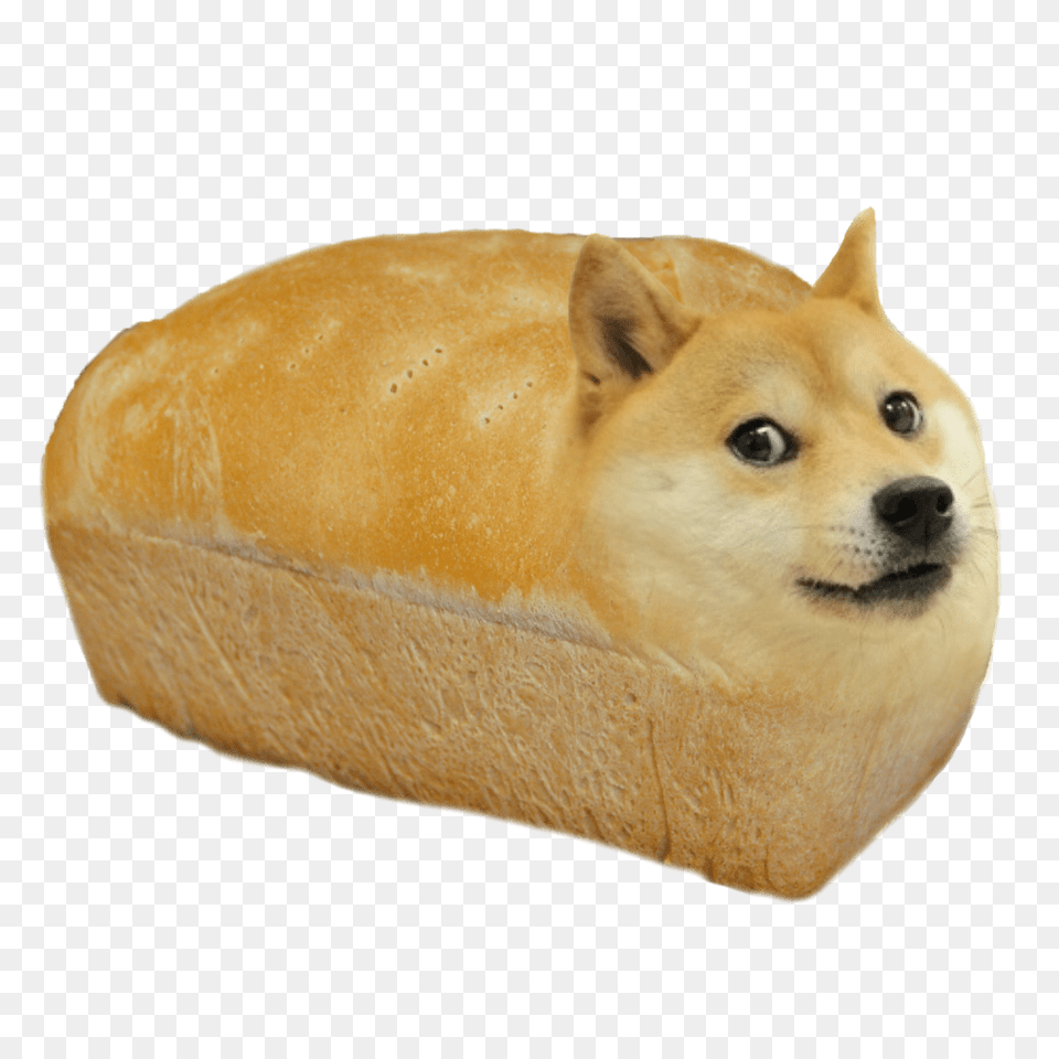 Doge Bread, Bread Loaf, Food, Animal, Canine Free Transparent Png
