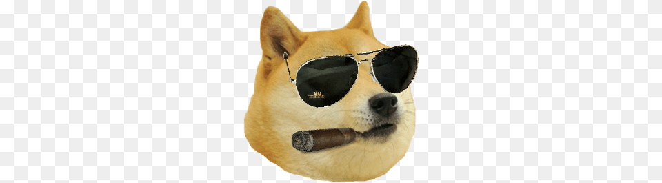 Doge Cigar And Glasses, Accessories, Sunglasses, Animal, Canine Free Png