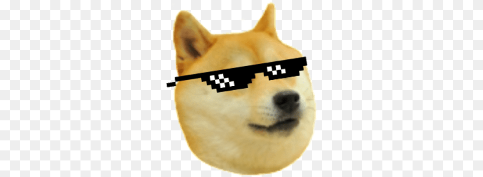 Doge Deal With It Doge Animal, Canine, Dog, Husky Free Transparent Png