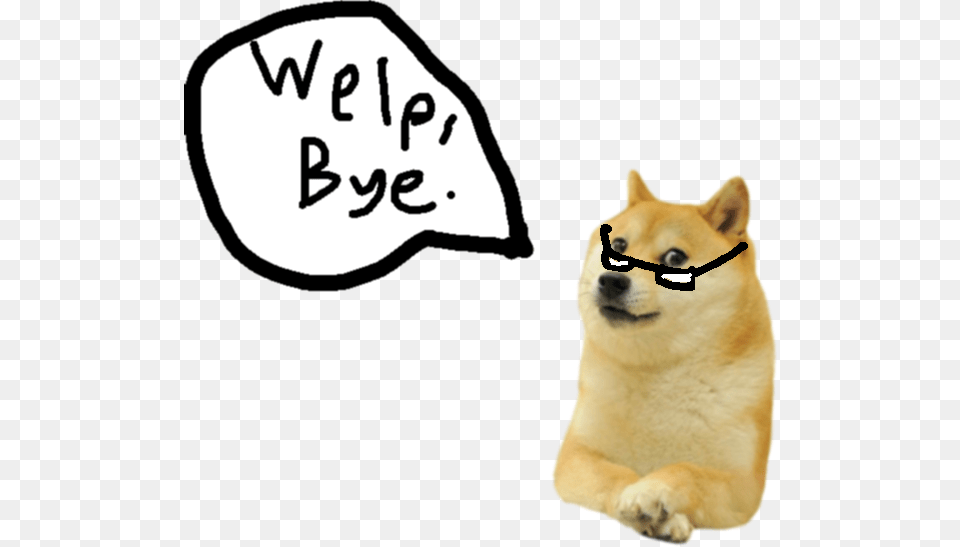 Doge Doge Cutout, Animal, Canine, Dog, Pet Free Png