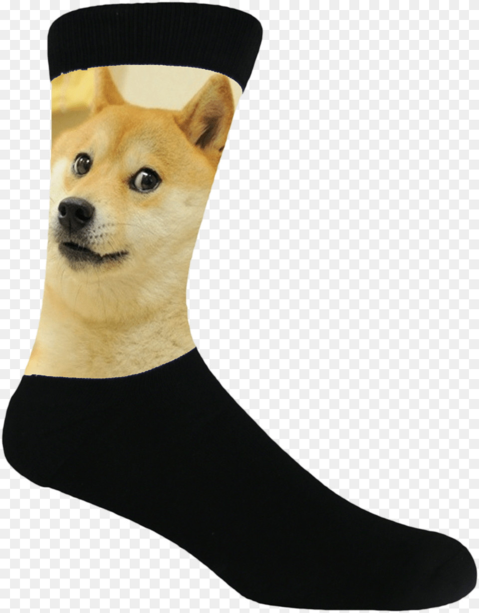 Doge Doge Line Full Size Download Seekpng Sock, Animal, Pet, Mammal, Dog Png Image