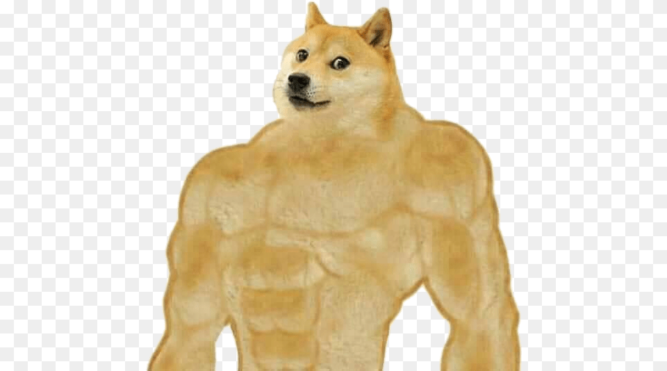 Doge Dogge Strong Buff Meme Shitpost Nobackground Swole Doge, Animal, Canine, Dog, Mammal Free Transparent Png