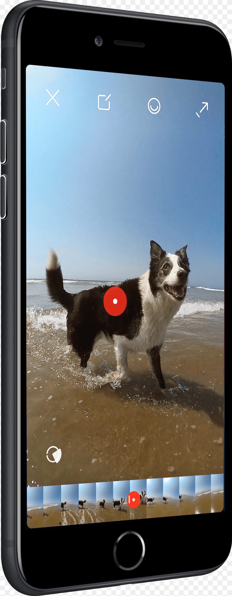 Doge Face Dog, Electronics, Mobile Phone, Phone, Animal Free Transparent Png