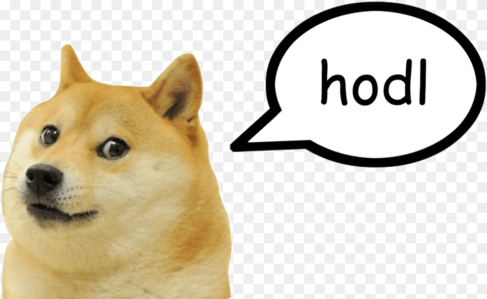 Doge Meme Clipart Doge Ben And, Animal, Canine, Dog, Husky Free Png Download