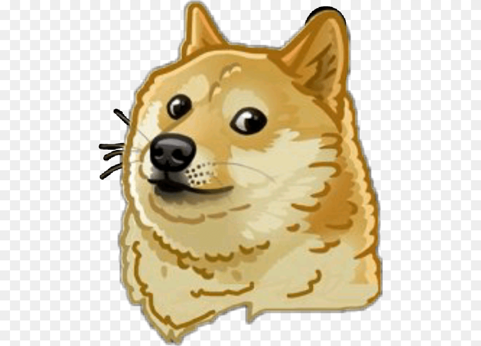 Doge Meme Dog Doggo Funny Sticker Momo Mlg Pets Dog Meme, Snout, Animal, Canine, Mammal Free Png