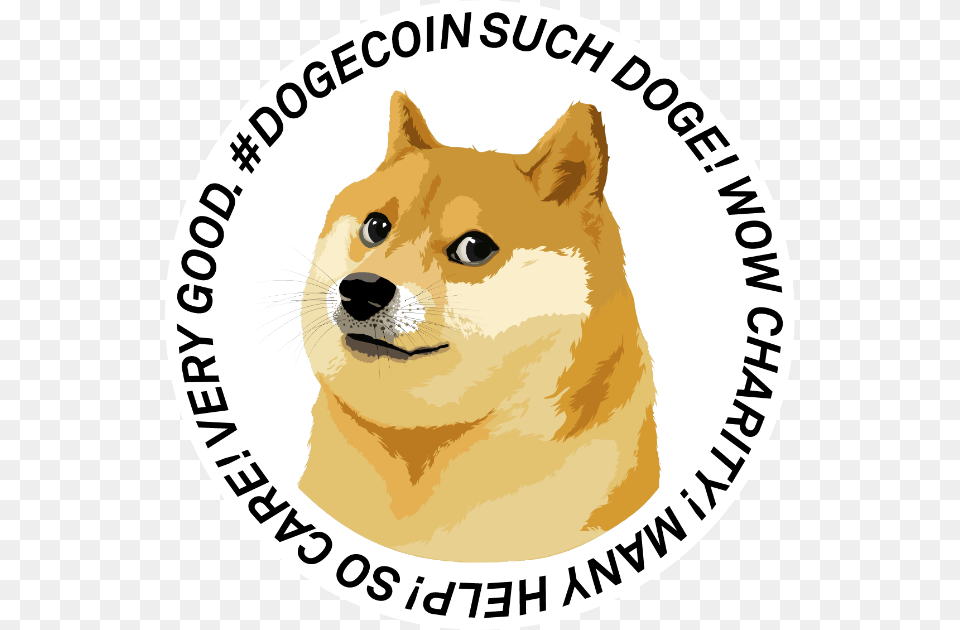 Doge Much Care Many Love, Animal, Cat, Mammal, Pet Png