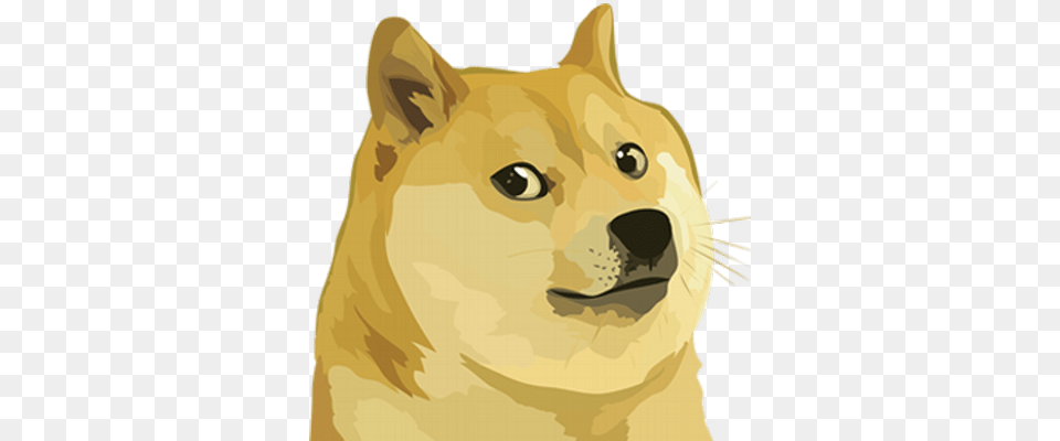 Doge Painted, Animal, Mammal, Wildlife, Cougar Free Png