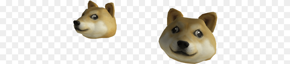 Doge Row Hokkaido, Snout, Animal, Canine, Dog Png Image