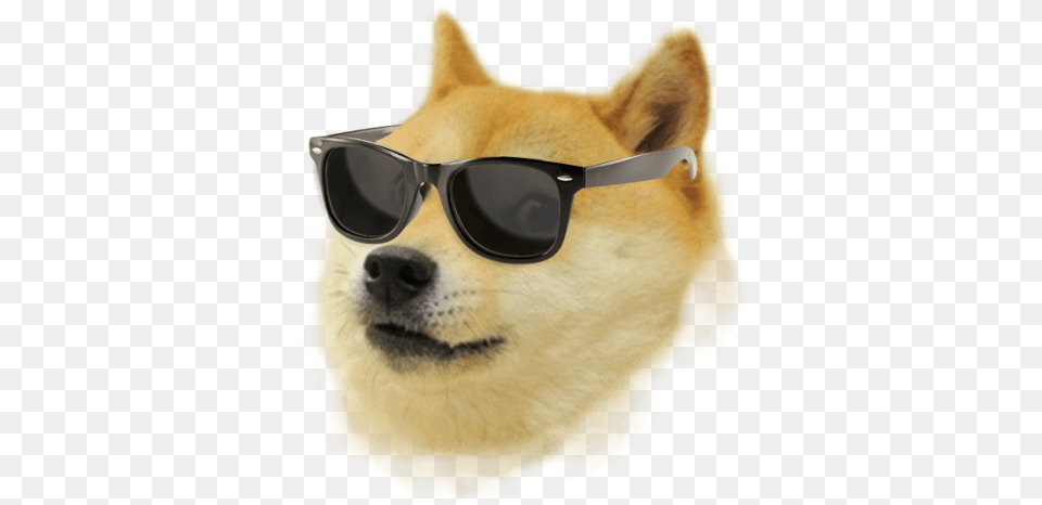 Doge Sunglasses, Accessories, Glasses, Goggles, Animal Png Image