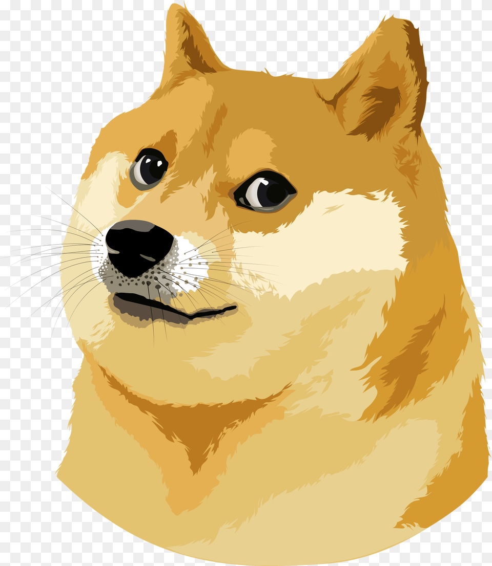 Doge Vector Illustration, Animal, Canine, Dog, Mammal Free Png