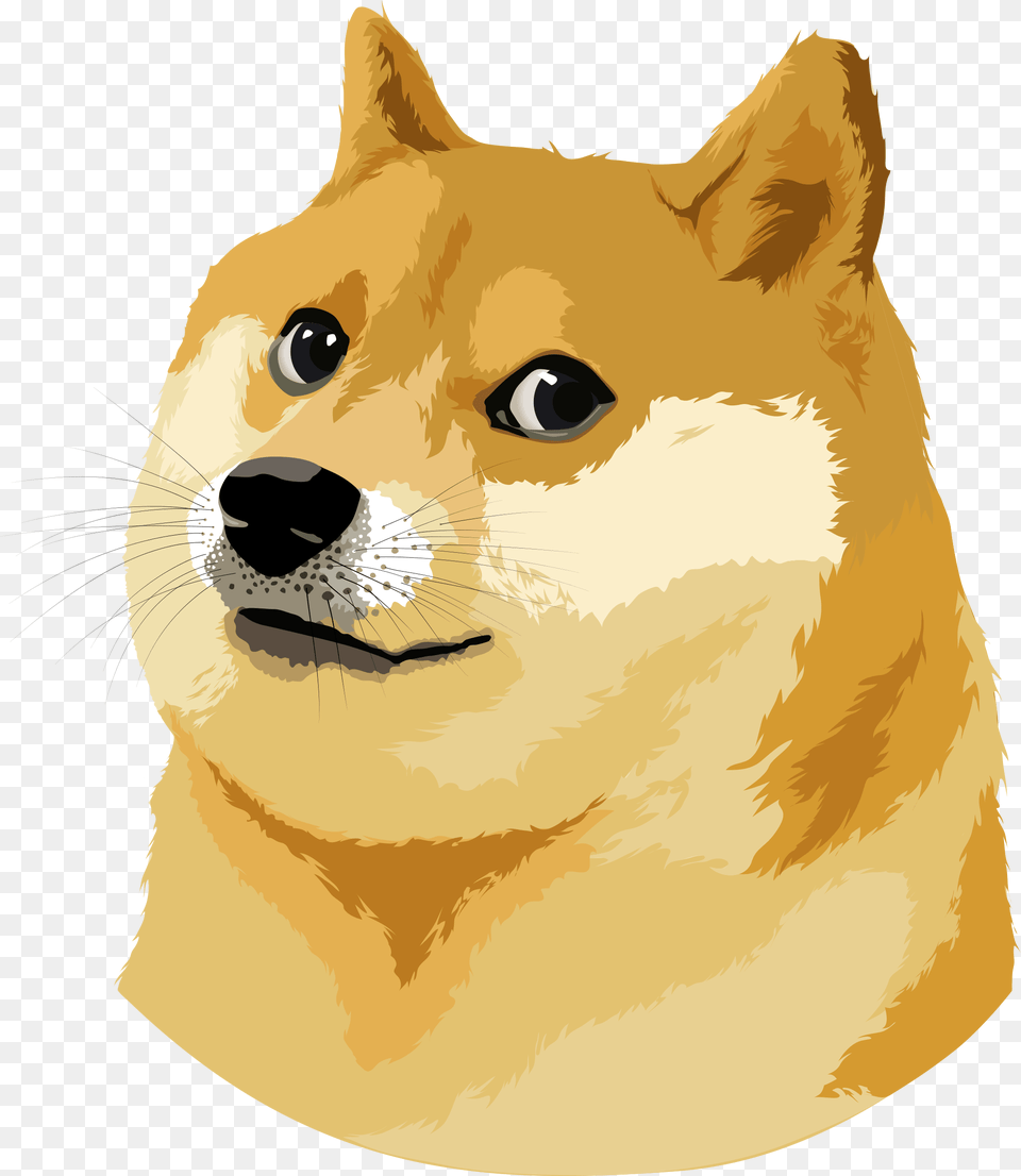 Doge Vector Illustration Doge Meme Vector, Animal, Canine, Dog, Mammal Free Png Download