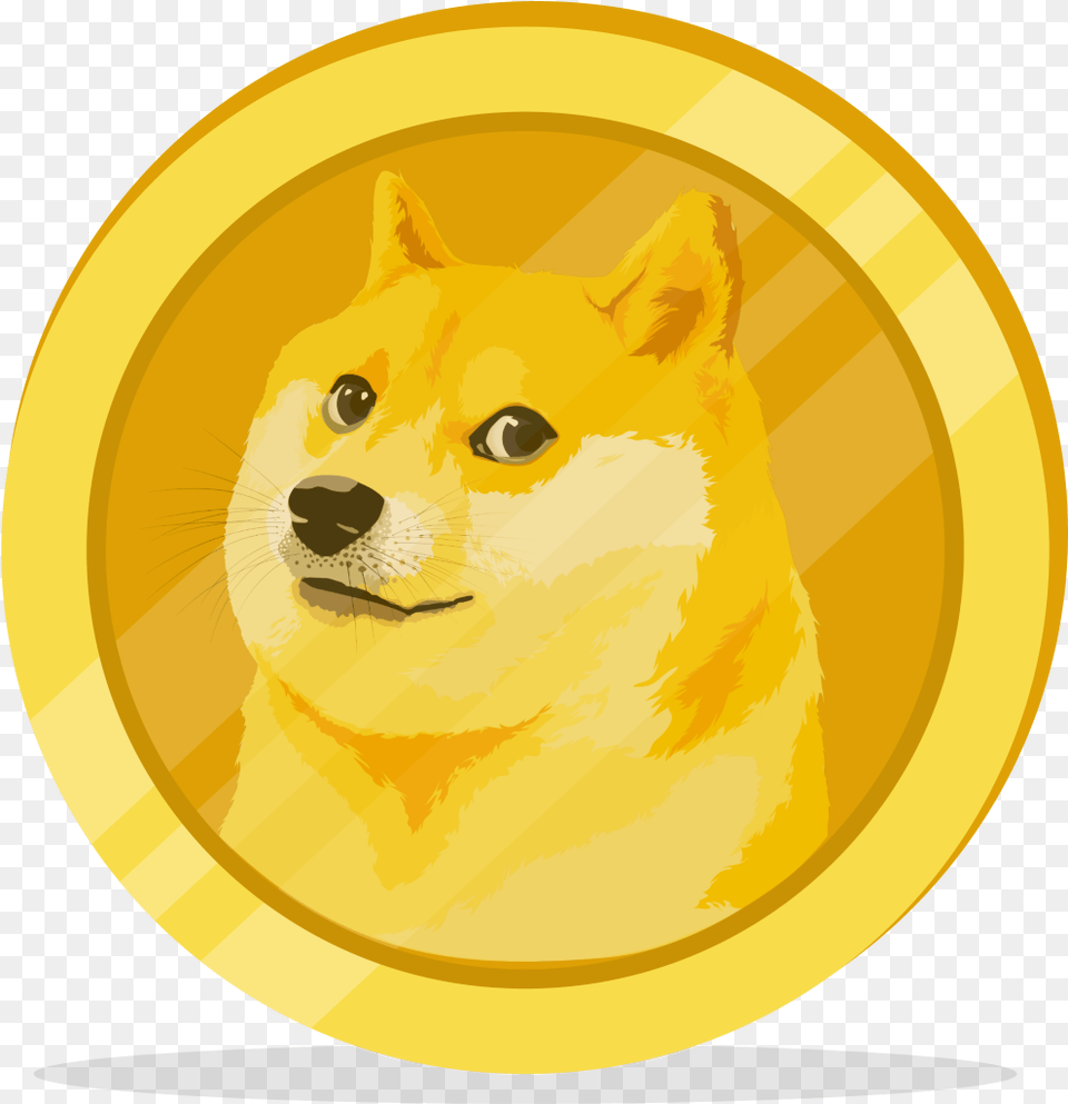 Dogecoin 7 Dogecoin, Gold, Animal, Cat, Mammal Png Image