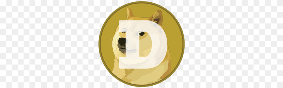 Dogecoin Icon Logo, Photography, Animal, Cat, Mammal Png Image
