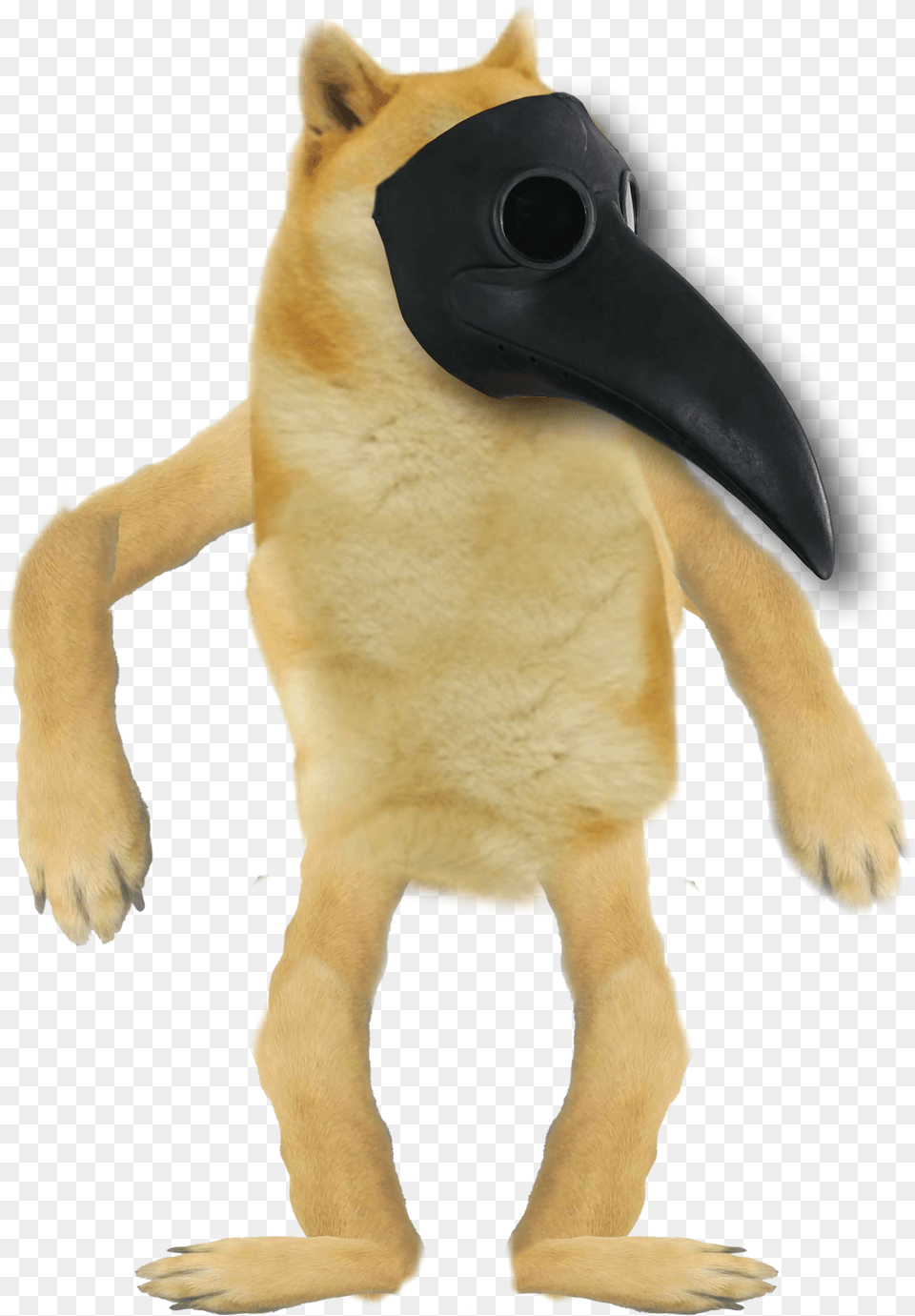 Dogelore Characters, Animal, Beak, Bird, Snout Free Png