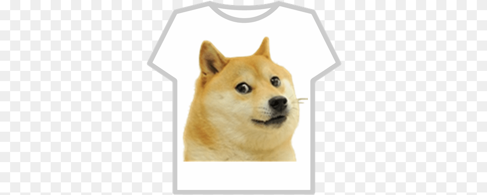 Dogepng Roblox Doge Roblox T Shirt, Animal, Canine, Clothing, Dog Free Transparent Png
