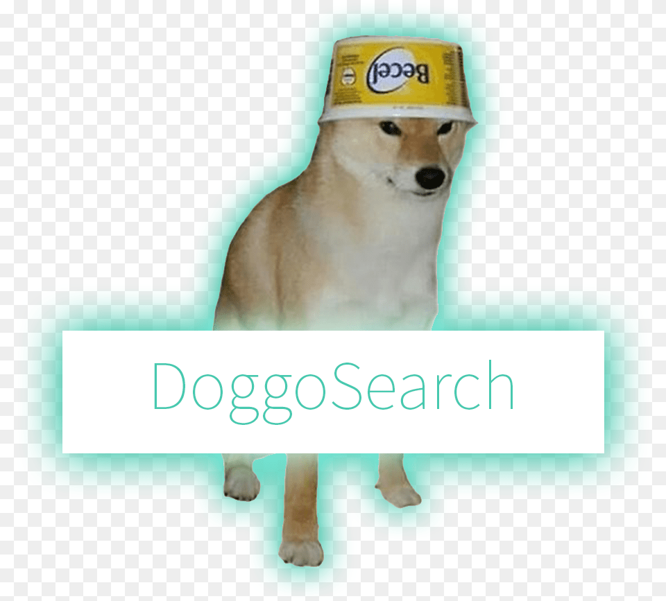 Doggo Search Dog, Animal, Canine, Mammal, Pet Free Png Download