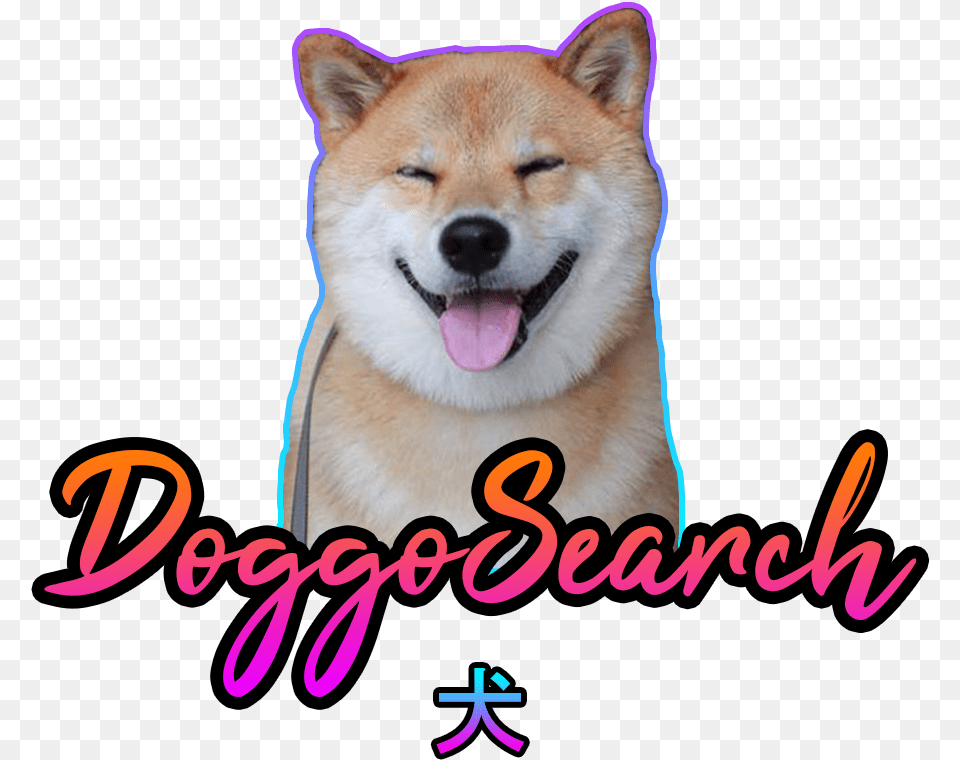 Doggo Search Hokkaido, Animal, Canine, Dog, Husky Png