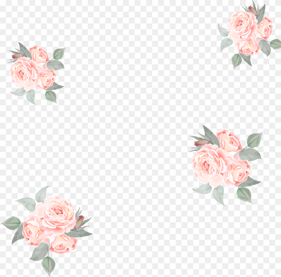 Doggy Menu Garden Roses, Flower, Plant, Rose, Carnation Png