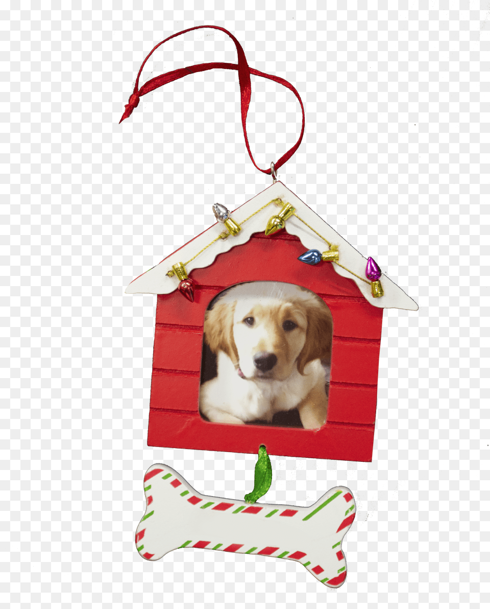 Doghouse Ornament Red Candy Cane Free Png
