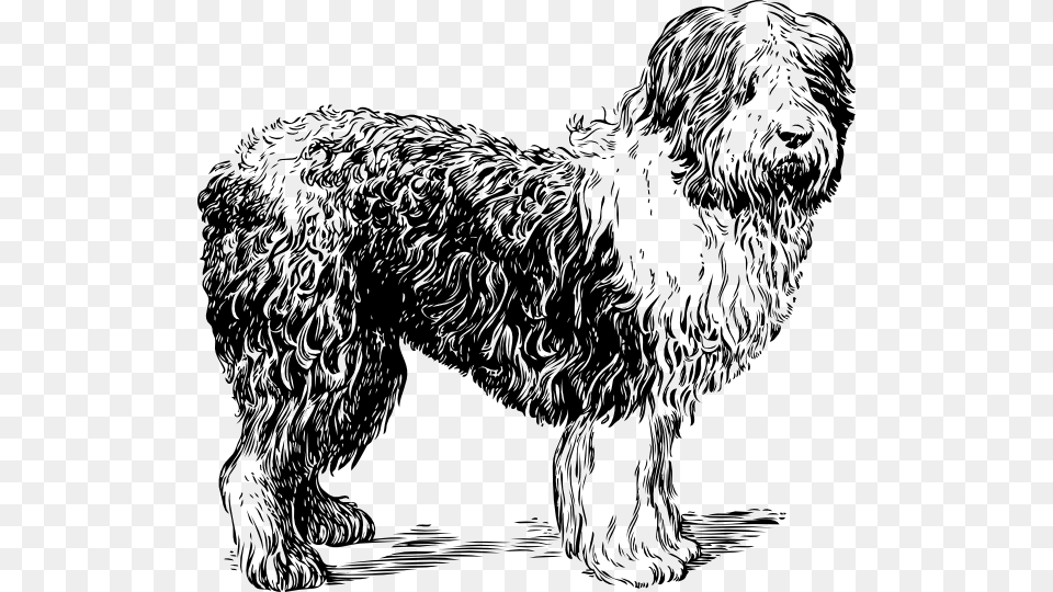 Dogs Clipart Black And White Sheep Dog Clipart Black And White, Animal, Canine, Mammal, Pet Free Transparent Png