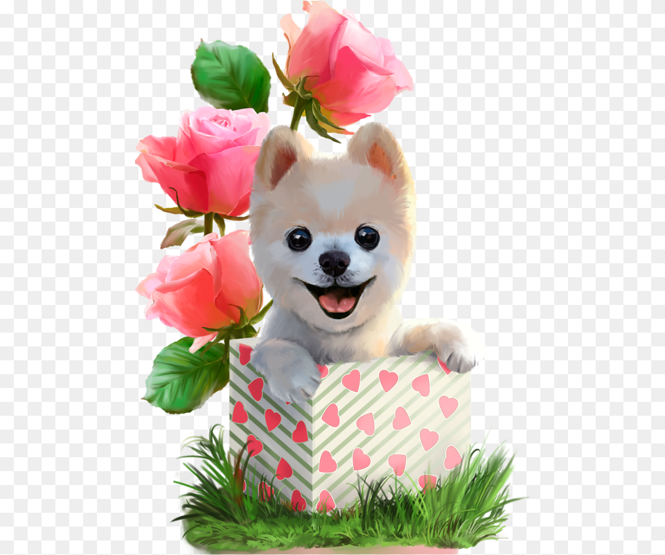 Dogs Clipart Scrapbook Have A Beautiful Monday Quotes, Rose, Flower, Flower Arrangement, Plant Free Png