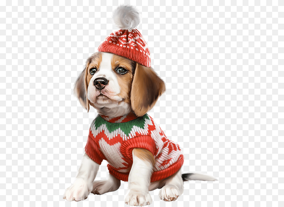 Dogs Dog Puppies Wallpapers Drawing Christmas Dog, Animal, Pet, Mammal, Puppy Free Transparent Png