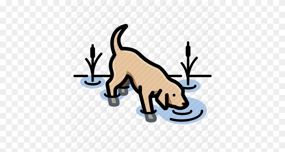 Dogs Labrador Retriever Pet Icon, Animal, Canine, Mammal, Dog Free Png Download